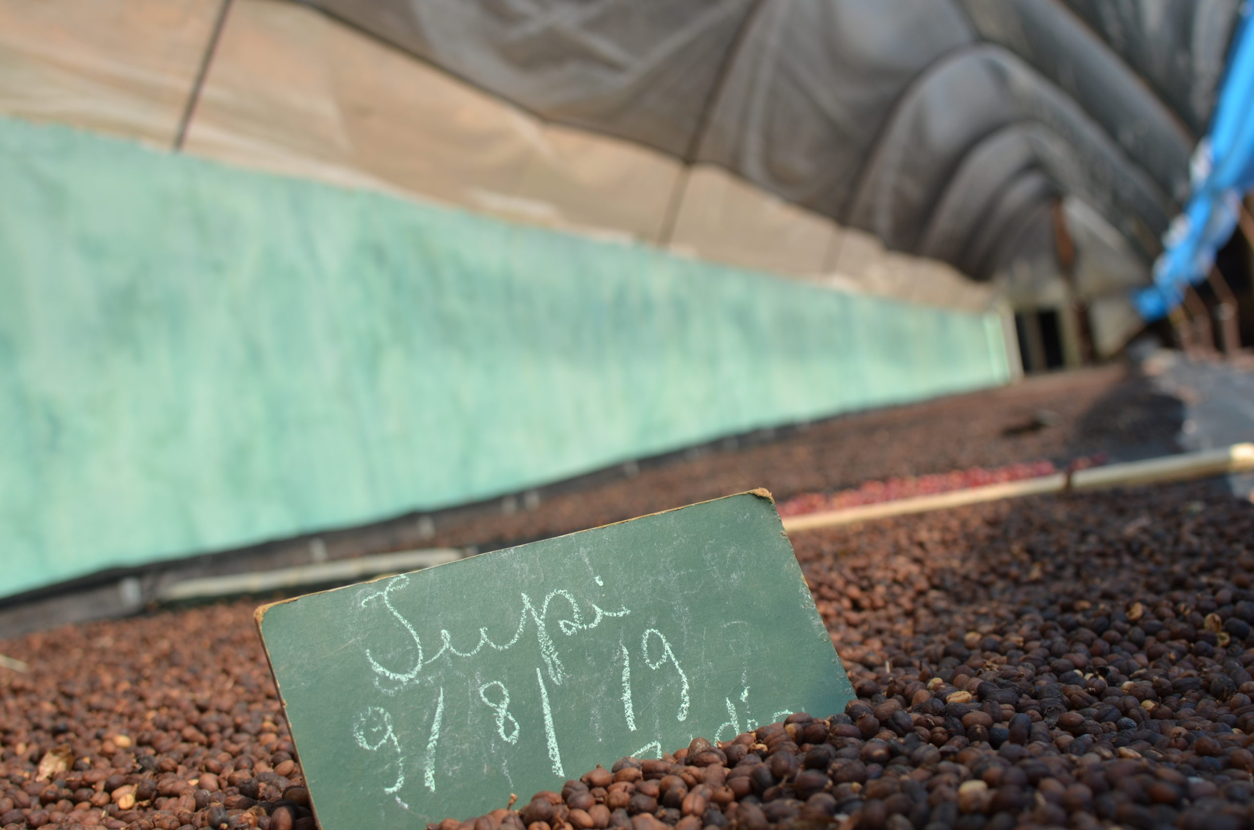 Visita Guiada - Imagem 3